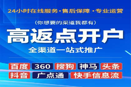 百度竞价代运营公司成功案例揭秘：策略与执行
